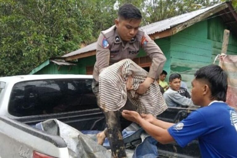 Korban Bencana di Sumut Naik Menjadi 355 Orang