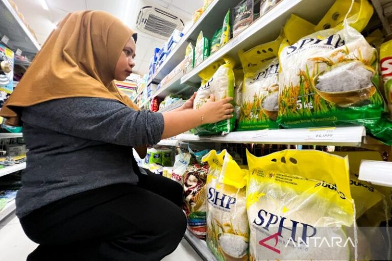 BULOG Perkuat Distribusi Beras SPHP untuk Stabilitas Harga