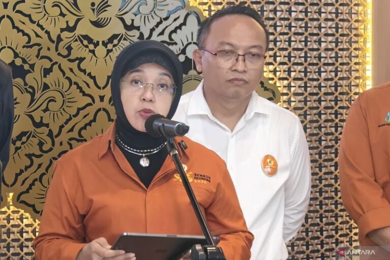 Cek Lapangan, BPS: 3.934 PBI JKN Penyintas Telah Meninggal