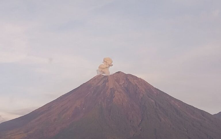 Gunung Semeru Erupsi, Lemparkan Abu Vulkanik 600 Meter Tinggi