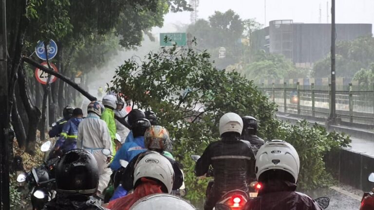 Hujan Deras Sebabkan Pohon Tumbang Tutup Jalan Galunggung Jaksel