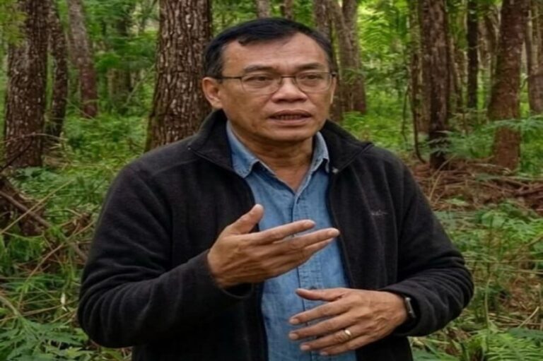 Ketua DPKLTS Ajak Pemulihan Hutan untuk Kurangi Risiko Bencana