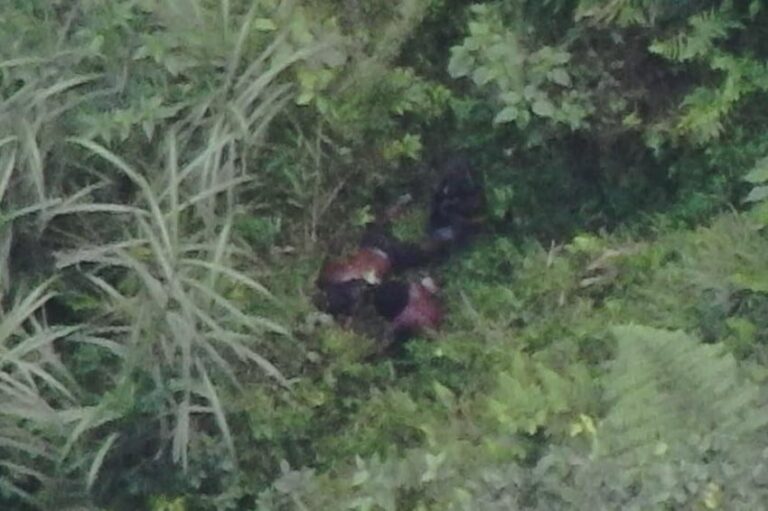 DPO Penembakan Tembagapura Kabur ke Hutan Usai Ditembak Satgas